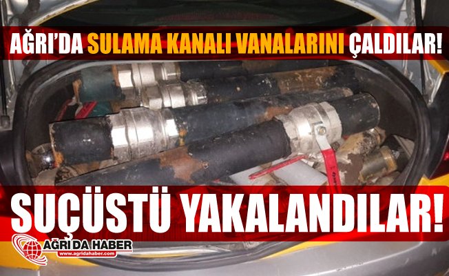 Ağrı'da Sulama Kanallarına Ait Vanaları Çalanlar Suçüstü Yakalandı!