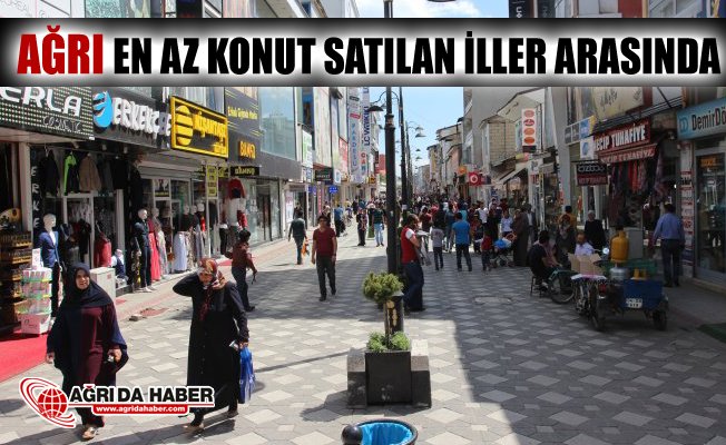 Ağrı Türkiye'nin En az Konut Satılan Şehirlerinden biri oldu