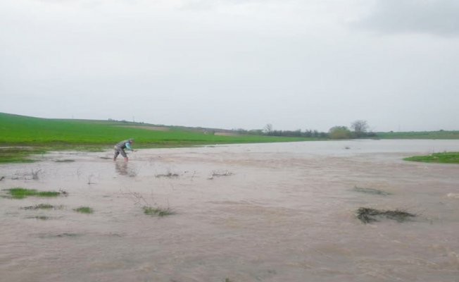Tarım arazileri sular altında kaldı