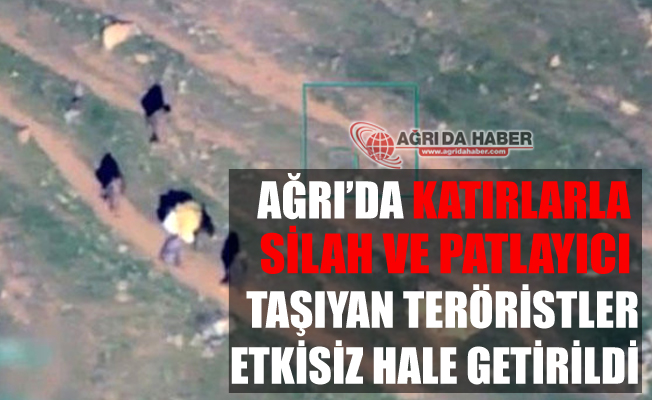 Ağrı'da Katırlarla Silah ve Patlayıcı Taşıdılar!