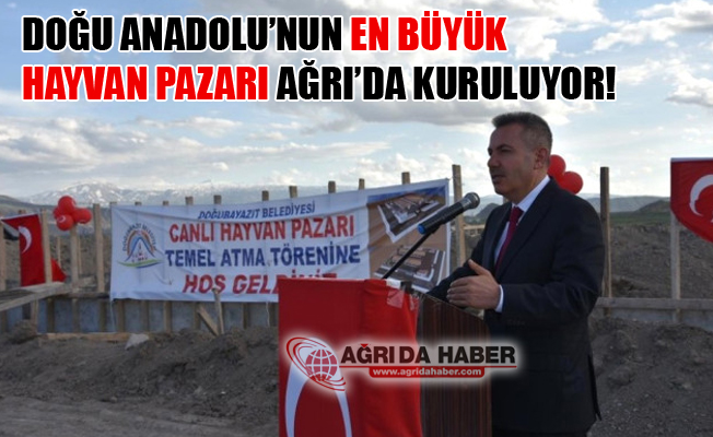 Doğu Anadolu'nun En Büyük Hayvan Pazarı Ağrı'da Kuruluyor!