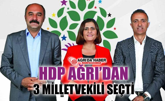 HDP Ağrı'dan 3 Milletvekili Çıkardı! İşte 27. Dönem HDP Milletvekilleri