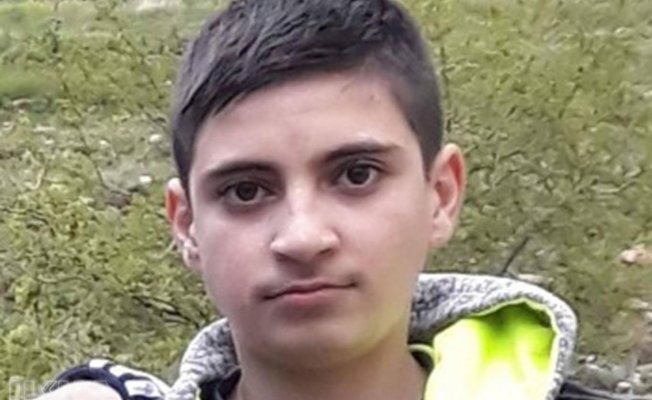 Li Agirî Zarokek Hat Revandın