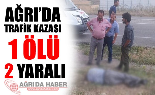 Ağrı'nın Doğubayazıt İlçesinde Trafik Kazası 1 Ölü 2 Yaralı!