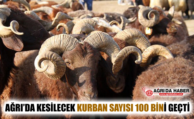 Ağrı'da Bu Yıl 130 Bin Küçükbaş Hayvan Kurban Edilecek