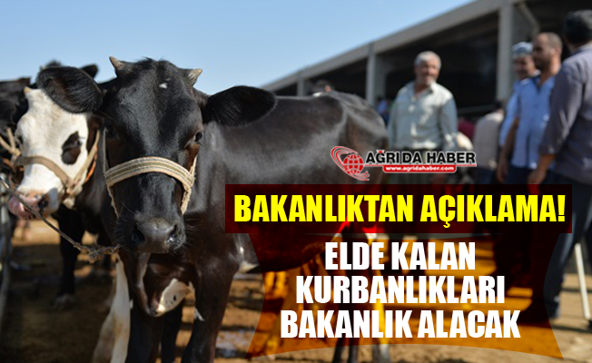 Kurban Bayramı Sonrası Elde Kalan Kurbanlıkları Bakanlık Alacak