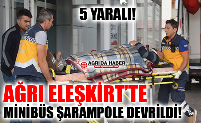 Ağrı Eleşkirt'te Minibüs Şarampole Devrildi! 5 Kişi Yaralandı!