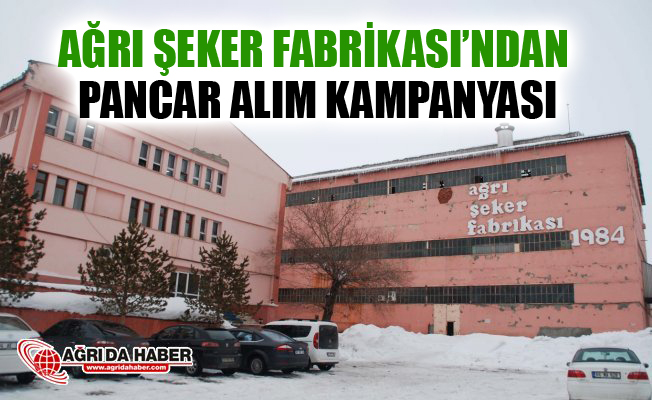 Ağrı Şeker Fabrikası'ndan Pancar Alım Kampanyası!