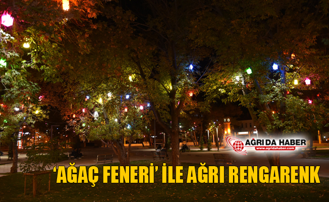 'Ağaç Feneri’ ile Ağrı Artık Rengarenk