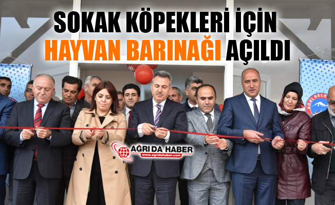 Ağrı'da Sokak Hayvanları İçin Yeni Barınak Açıldı