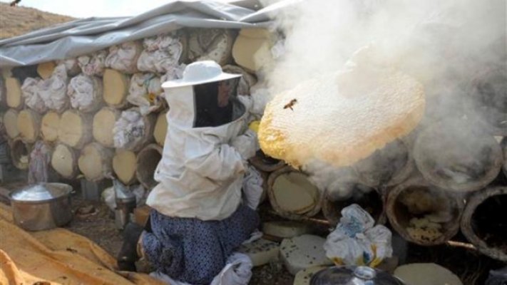 Bu Balın Kilosu 500 TL