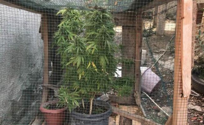 Bu Yöntem Şeytanın Bile Aklına Gelmez