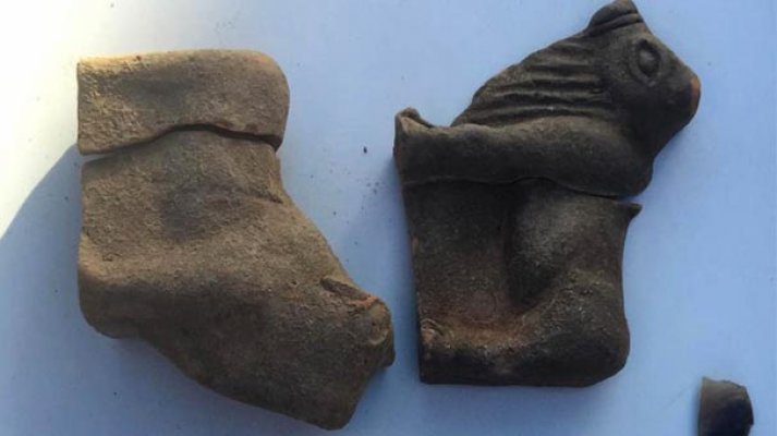 Sivas'da ilginç bir olay daha!