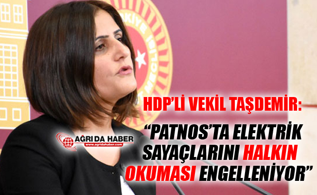 HDP Ağrı Milletvekili Taşdemir'den Patnos'taki Elektrik Sayaçları açıklaması