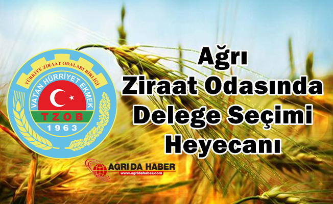 Ağrı Ziraat Odası Başkanlığında Delege Seçimi Heyecanı