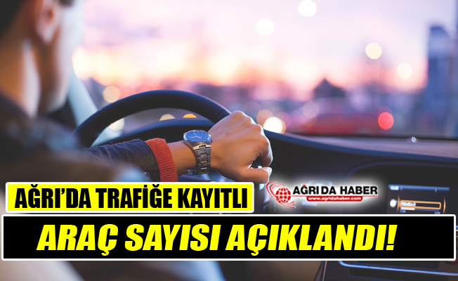 TÜİK Verilerine göre Ağrı'da Trafiğe Kayıtlı Araç Sayısı