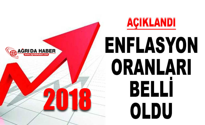 2018 Yılı Enflasyon Rakamları Açıklandı