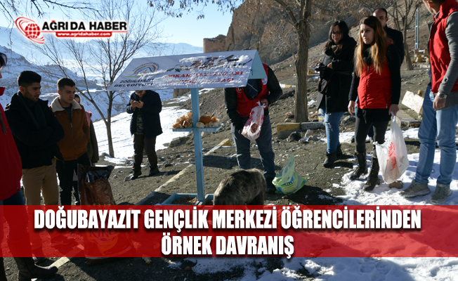 Doğubayazıt Gençlik Merkezi Öğrencilerinden Yaban Hayvanlarına Yem