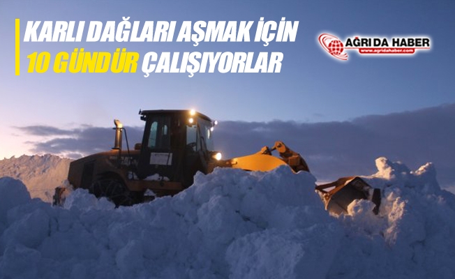 Ağrı'da Karlı Dağları Aşmak İçin 10 Gündür Çalışıyorlar