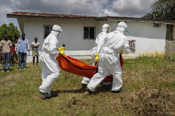 Ebola'ya 8 ayda rekor kurban