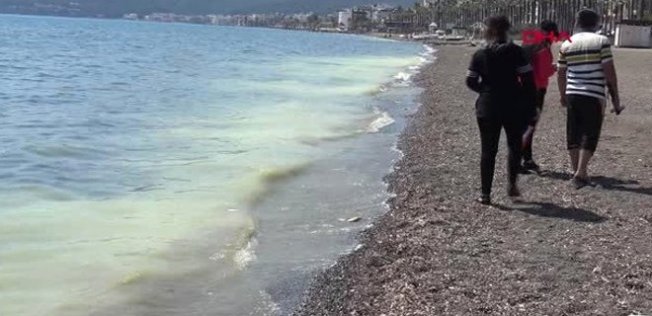 Marmaris sarıya boyandı Marmaris sarıya boyandı