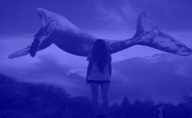 İzmir'de Lise Öğrencisi İntihar Etti! (Mavi Balina İddia Edildi)