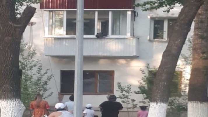 Evin Balkonuna Kaçan Ayı Korkuttu! Evin Balkonuna Kaçan Ayı Korkuttu!
