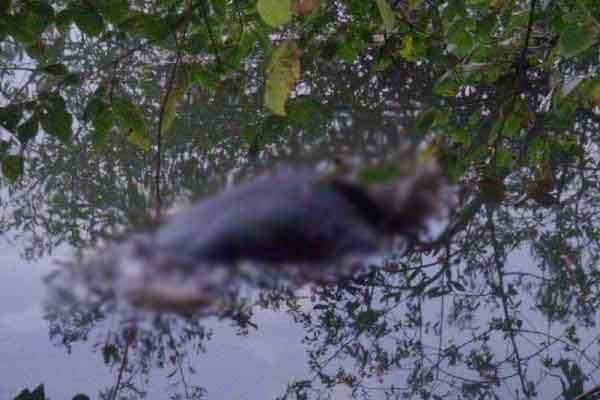 Aynı Derede Bir ceset Daha bulundu