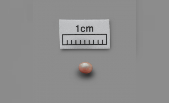 En eski ve Doğal İnci Bulundu