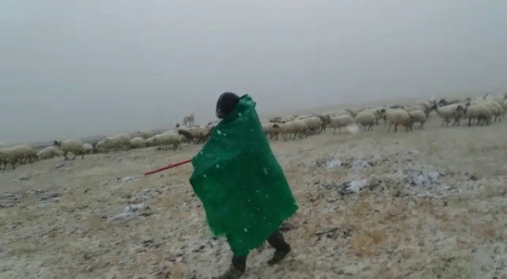 Ağrı Diyadin'de kar yağışı etkili olmaya başladı