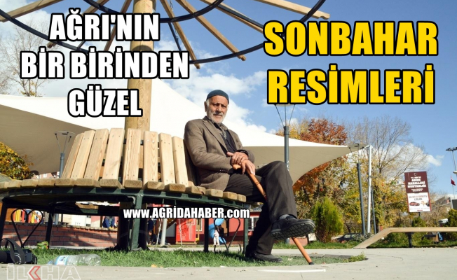 Ağrı'nın Bir Birinden Güzel Sonbahar Görüntüleri