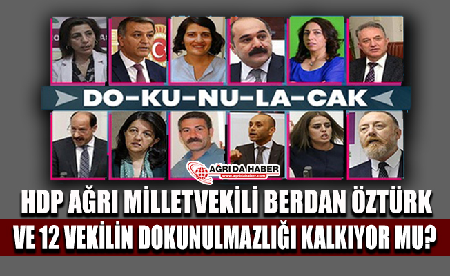 HDP Ağrı Milletvekili Berdan Öztürk ve 12 Vekilin Dokunulmazlığı Kaldırılıyor mu?