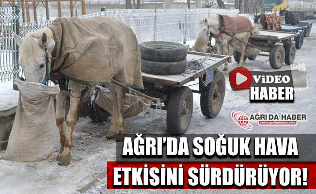 Ağrı'da soğuk hava etkisini sürdürmeye devam ediyor
