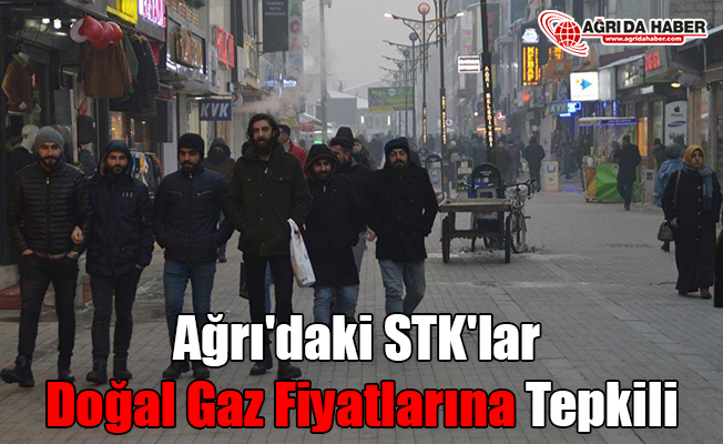 Ağrı'daki STK'lar Doğal Gaz Fiyatlarına Tepkili