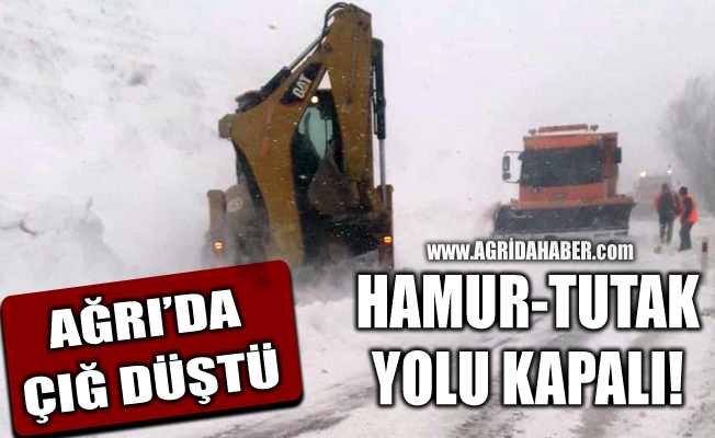 Ağrı'da çığ düştü Hamur-Tutak yolu kapandı