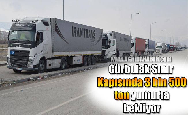 Gürbulak Sınır Kapısında 3 bin 500 ton yumurta bekliyor