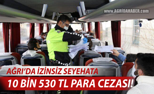 Ağrı'da Seyehat İzin Belgesi Denetimleri Sürüyor