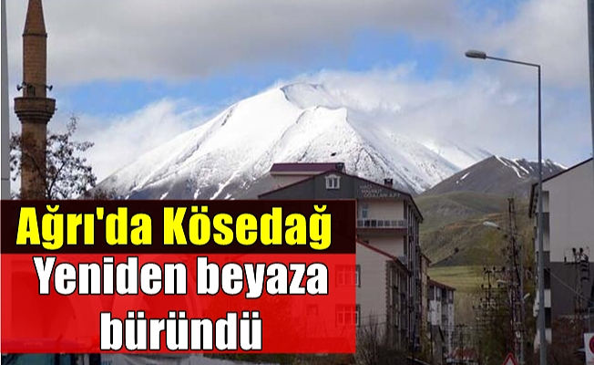 Ağrı'da Kösedağ yeniden beyaza büründü