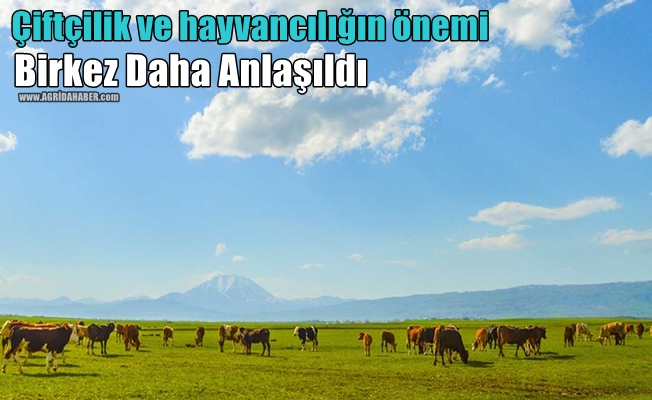 Çiftçilik ve hayvancılığın önemi birkez daha anlaşıldı