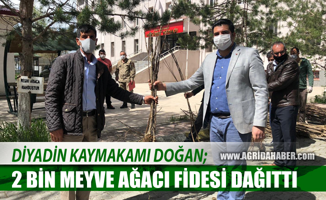Diyadin Kaymakamı Hasan Doğan, vatandaşlara 2 bin meyve ağacı dağıttı