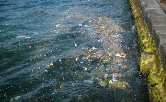 İstanbul'da sahili çöp bastı!