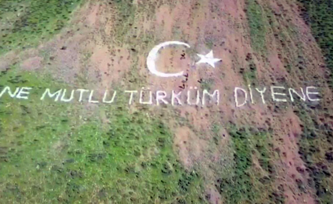 Mazlumder Diyarbakır: "Dağlara slogan değil, Orman yakışır"