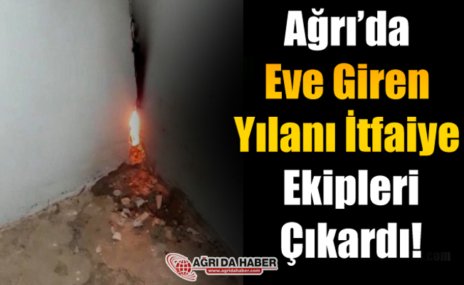 Ağrı'da Eve giren yılanı İtfaiye Ekipleri Çıkardı