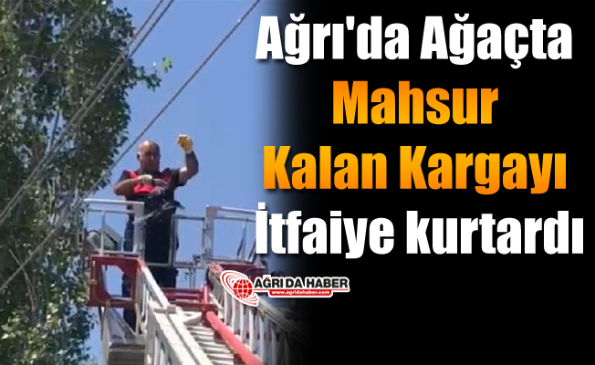 Ağrı'da Ağaçta Mahsur Kalan Kargayı İtfaiye kurtardı
