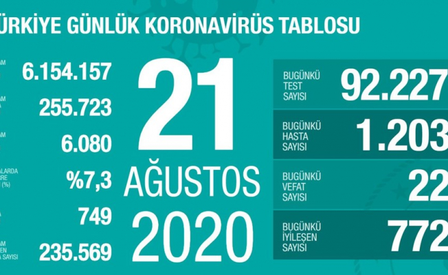 Türkiye'de 22 Can Kaybı Daha!