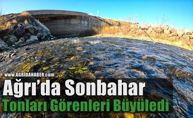 Ağrı’da Sonbahar Tonları Görenleri Büyüledi