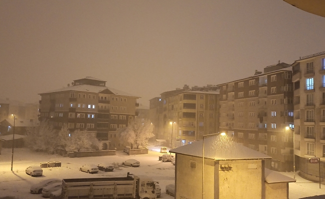 Ağrı yoğun karla yeniden beyaza büründü