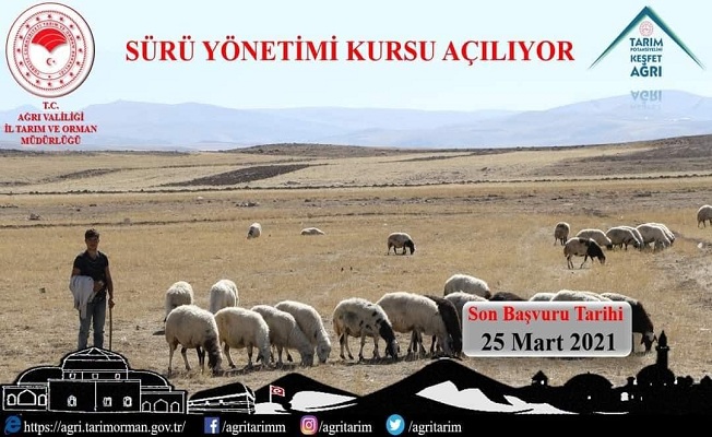 Ağrı'da Sürü Yönetim Elemanı Kursu Açılıyor Ağrı'da Sürü Yönetim Elemanı Kursu Açılıyor