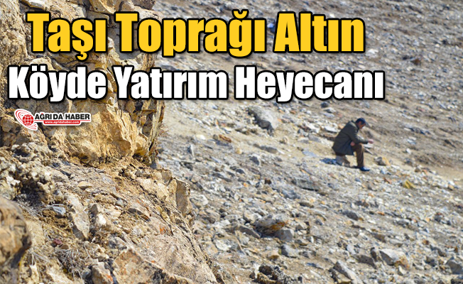 Taşı Toprağı Altın Köyde Yatırım Heyecanı