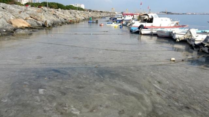 Denizde Korkutan Görüntülerin Sebebi Belli Oldu